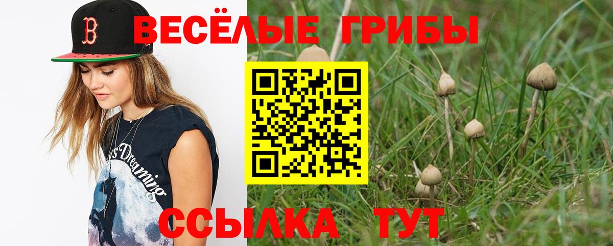 Галлюциногенные грибы MAGIC MUSHROOMS  Вход с VPN  Полысаево 